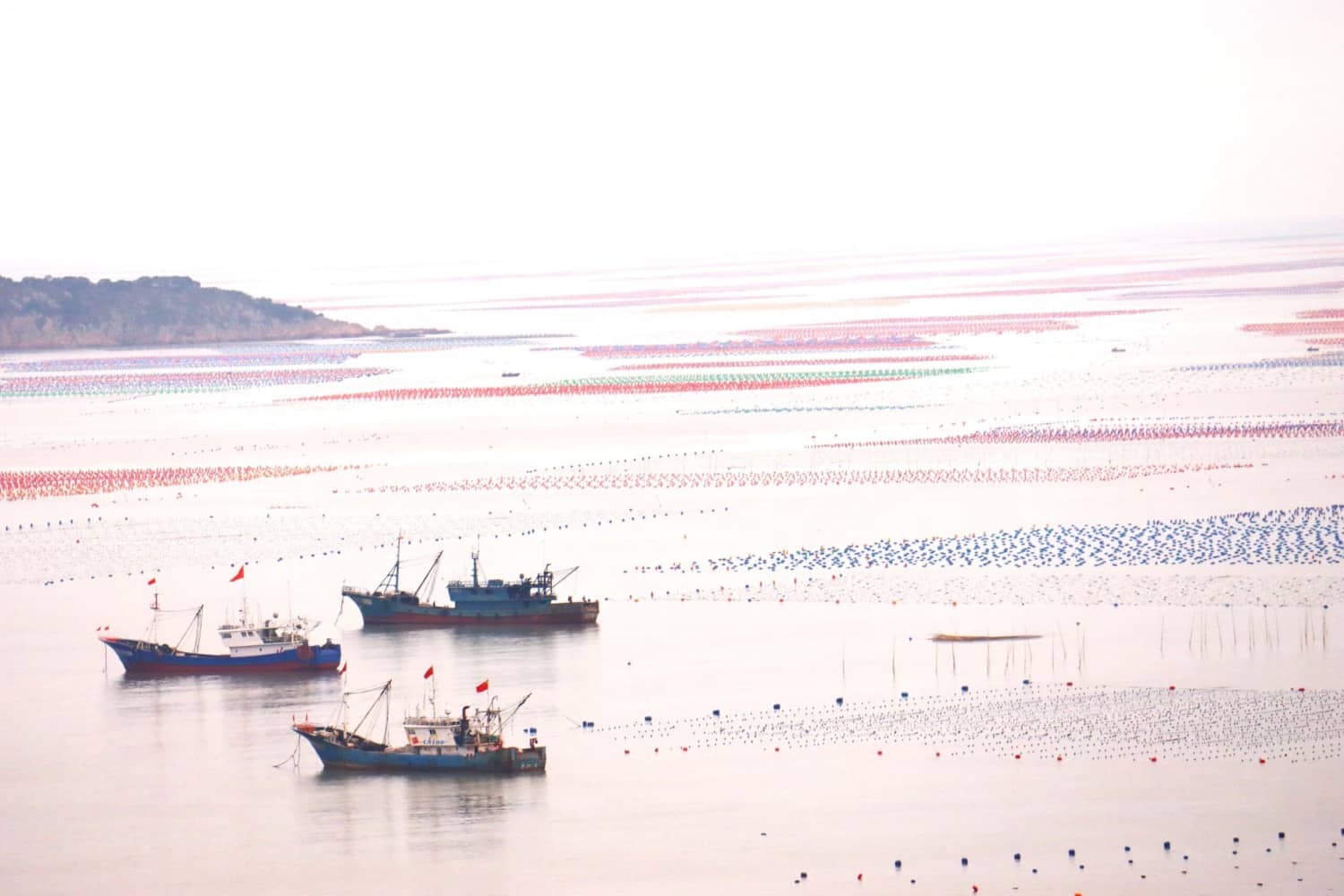 最美八闽,霞浦三沙围栏艳 沙江打卡“S”弯