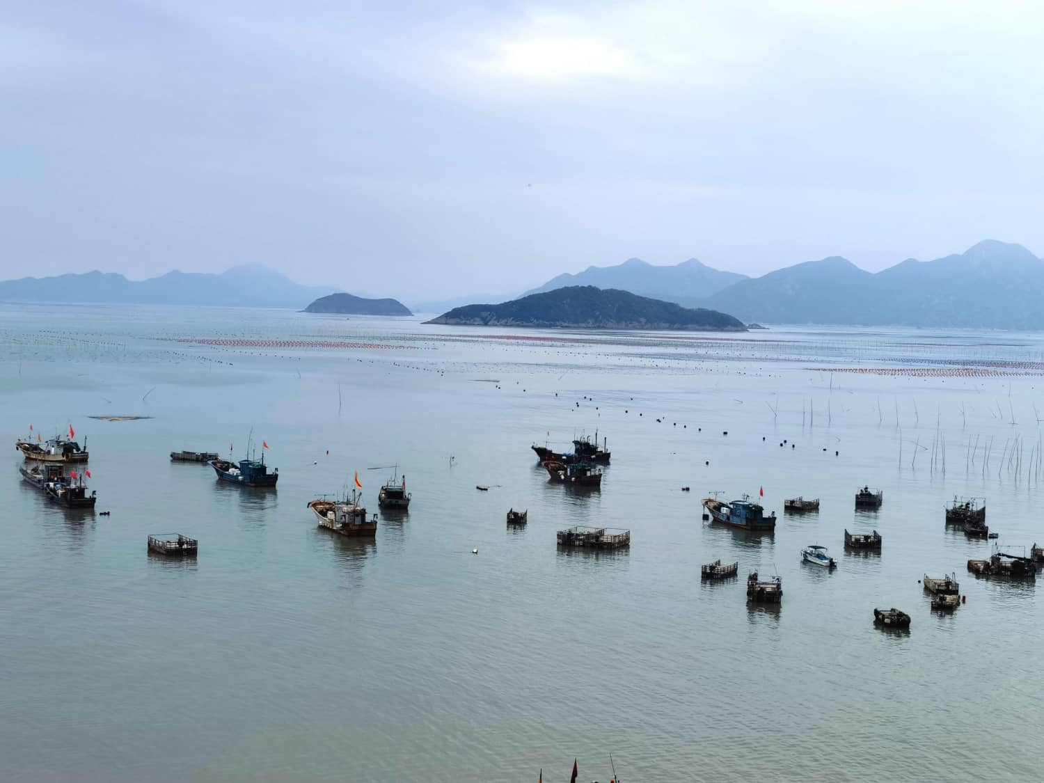 最美八闽,霞浦三沙围栏艳 沙江打卡“S”弯