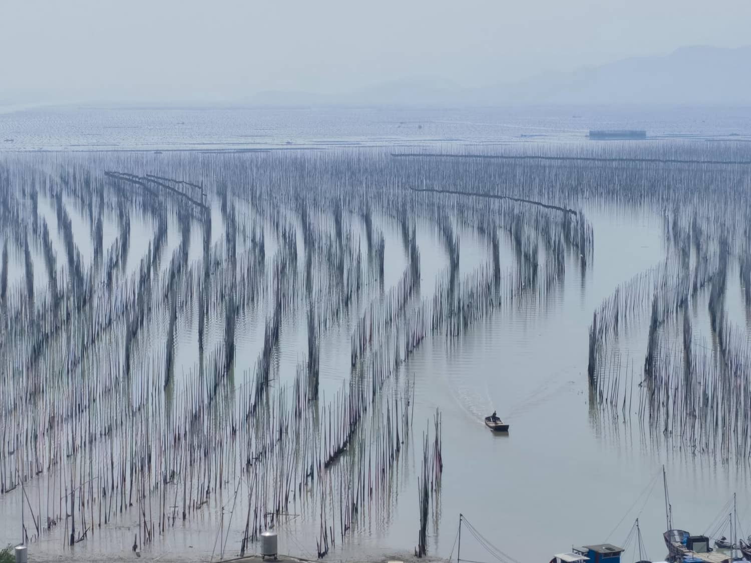 最美八闽,霞浦三沙围栏艳 沙江打卡“S”弯