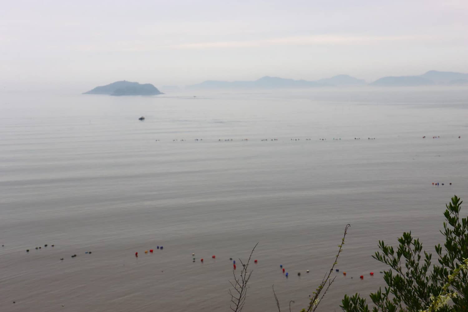 最美八闽,霞浦三沙围栏艳 沙江打卡“S”弯