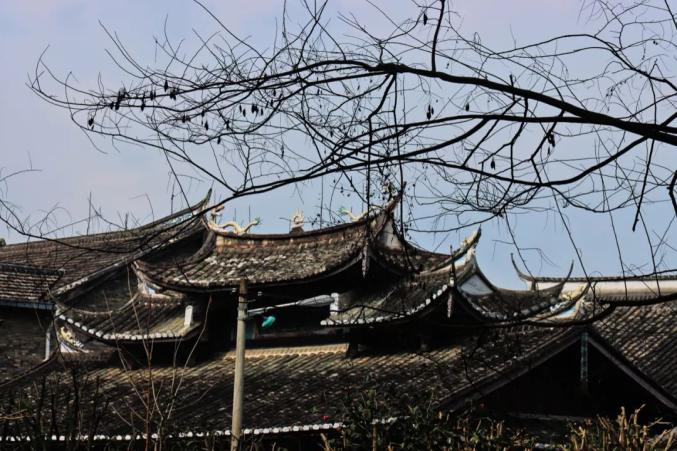福安 | 小众到0攻略的小城,被《早餐中国》挖出来了 走着瞧旅行