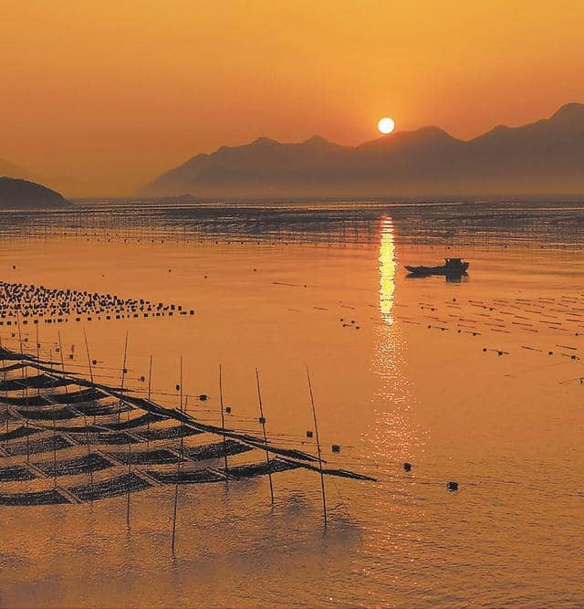 八闽与海并肩，一路奔向诗和远方