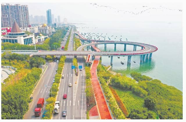 八闽与海并肩，一路奔向诗和远方