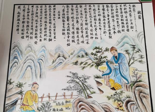 铁观音名字背后的故事,安溪茶农的匠心精神,世代传承