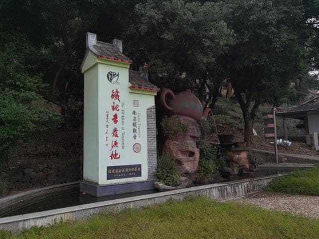 铁观音名字背后的故事,安溪茶农的匠心精神,世代传承