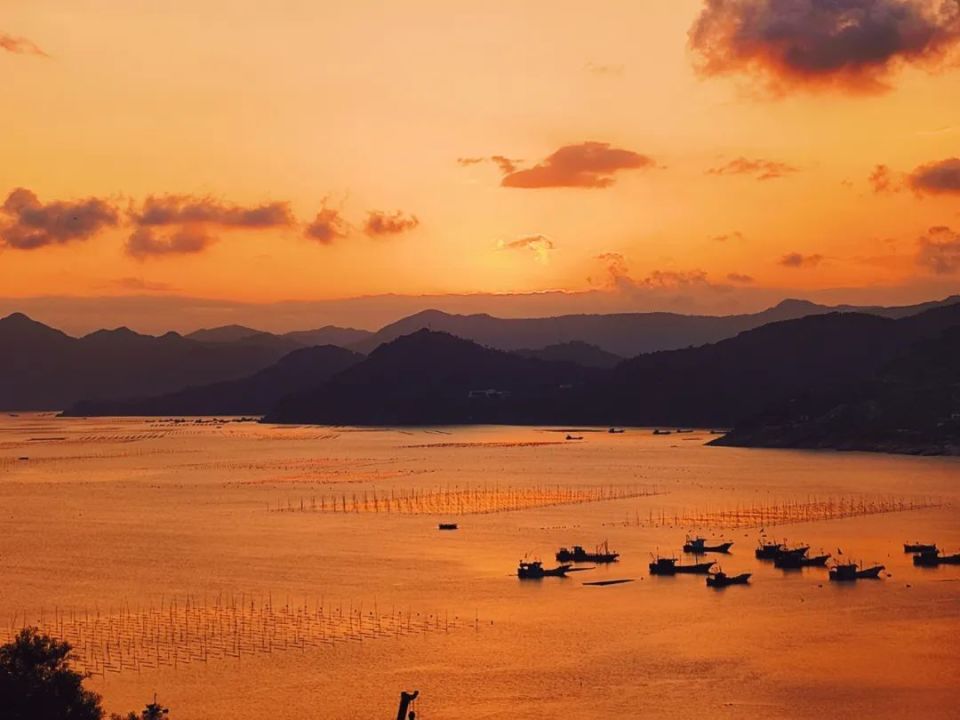 八闽大地这个季节的福建霞浦海鲜,赞!爆!了!,这个季节有哪些海鲜?