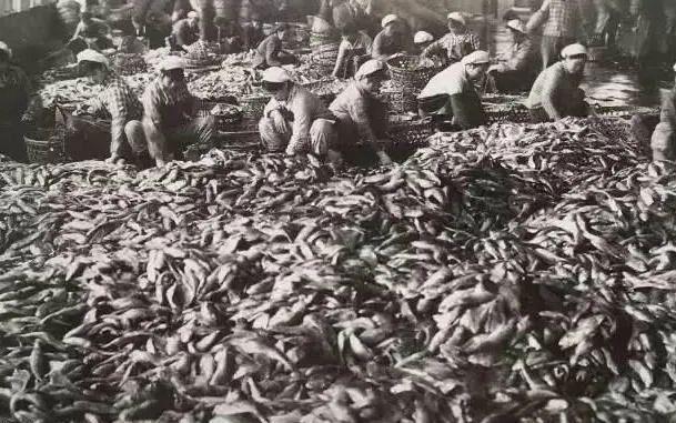 1949年6月,霞浦三沙先行解放经过