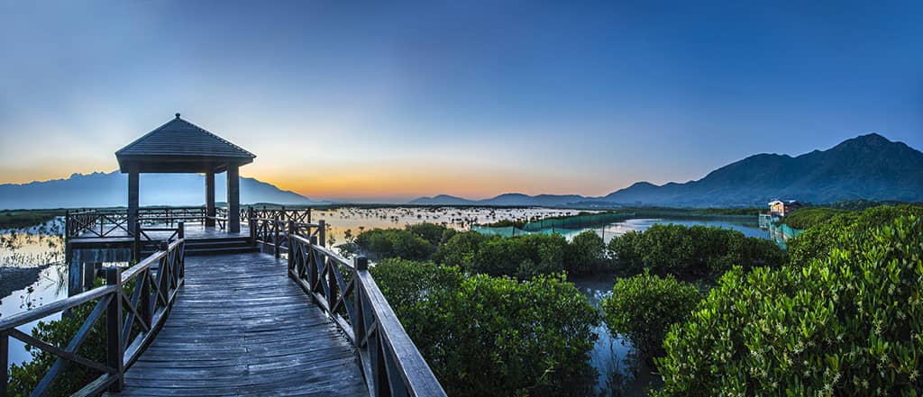 漳州云霄县东厦镇佳洲村