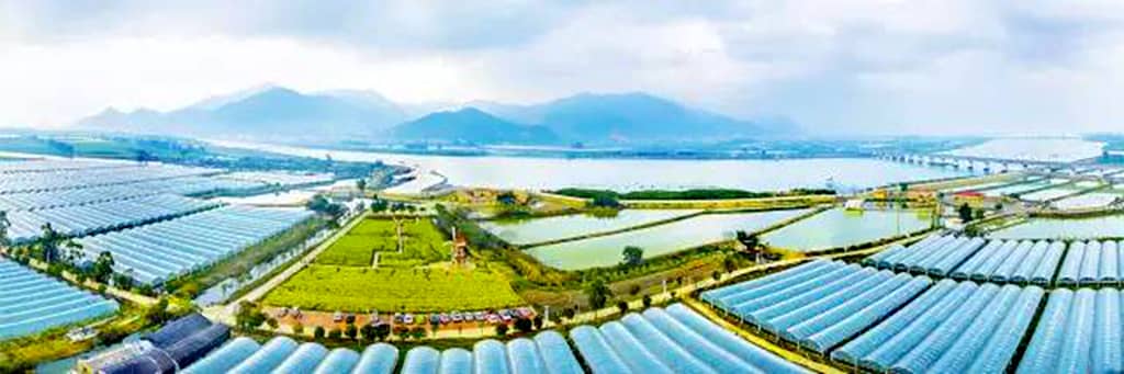 漳州云霄县东厦镇佳洲村