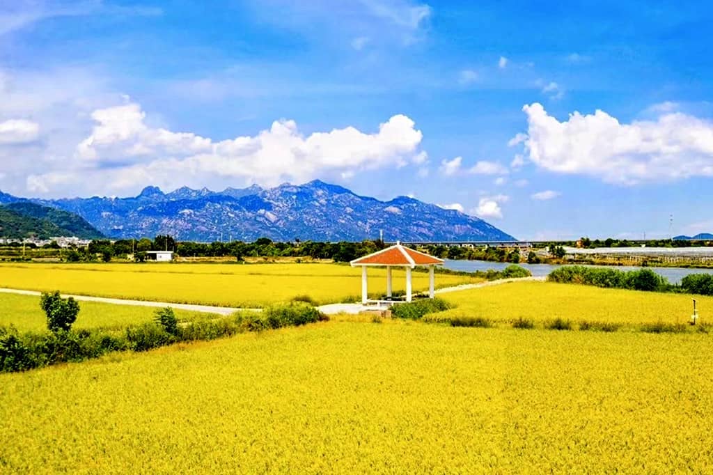 漳州云霄县东厦镇佳洲村