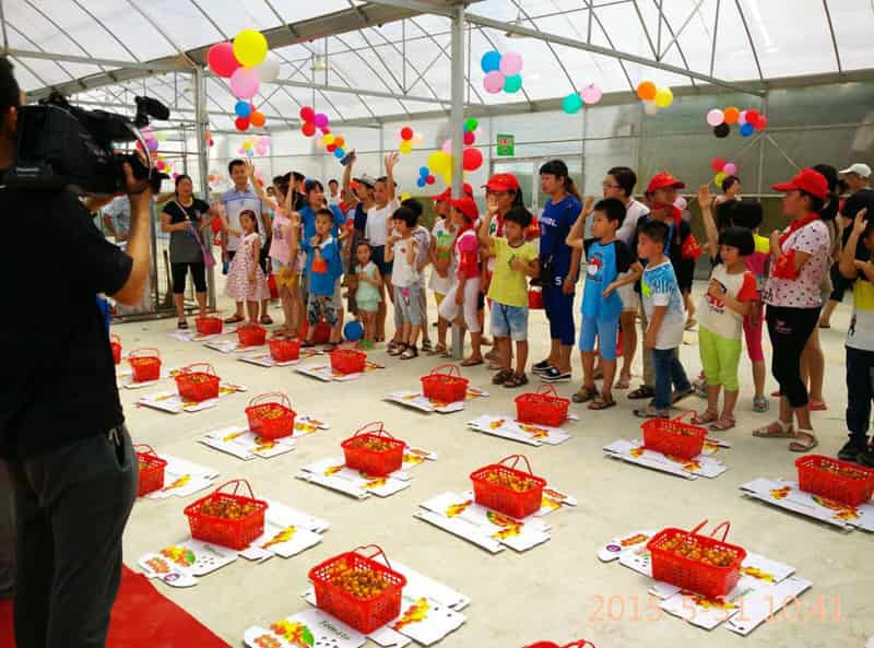 漳州云霄县东厦镇佳洲村