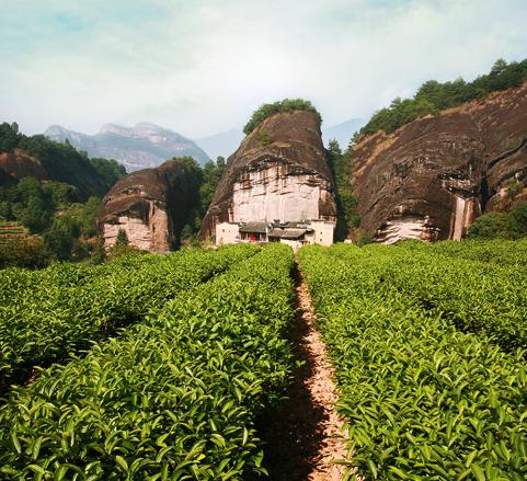 福建省十大特产,闽地风情,福建瑰宝