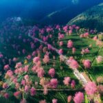 霞浦热门旅游景点攻略，看这个就够了！