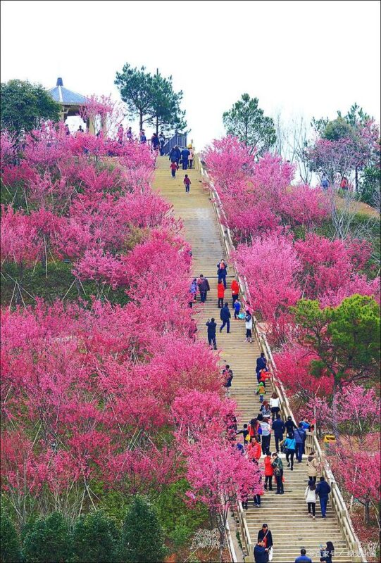 霞浦热门旅游景点攻略，看这个就够了！