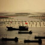 🦑霞浦四大美食特产🦑