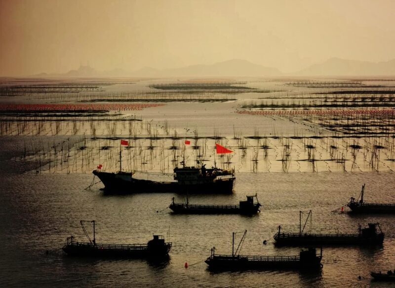 🦑霞浦四大美食特产🦑