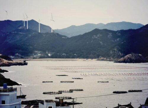 🦑霞浦四大美食特产🦑