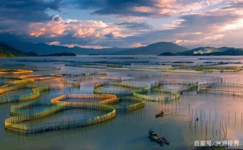 八闽大地“海带之乡”的霞浦，特产虽然不多？但都是闽东的地理标志产品