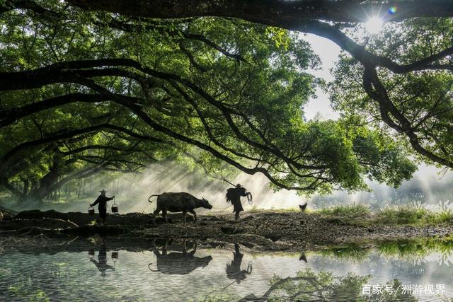 八闽大地“海带之乡”的霞浦,特产虽然不多?但都是闽东的地理标志产品