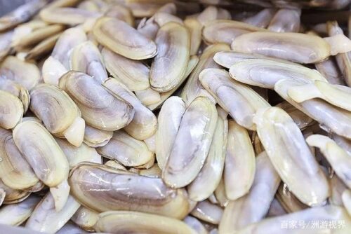 八闽大地“海带之乡”的霞浦，特产虽然不多？但都是闽东的地理标志产品