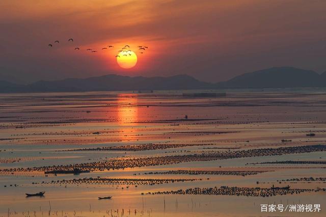 八闽大地“海带之乡”的霞浦,特产虽然不多?但都是闽东的地理标志产品