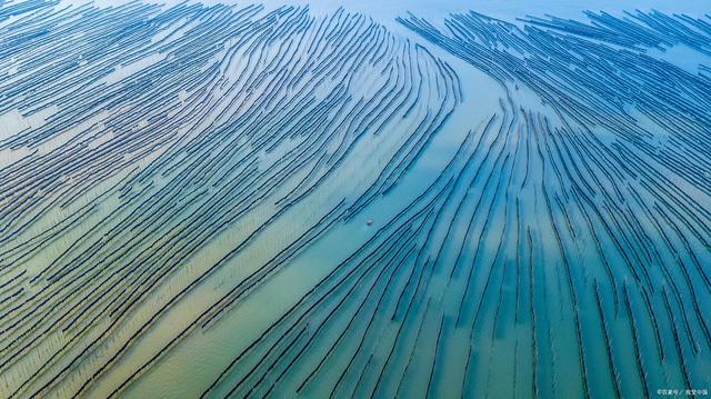 八闽大地的神奇之地-霞浦县_霞浦特产,海产品是一大特产,水果当仁不让,还有更让游客心动的
