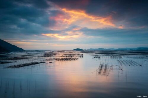 八闽大地的神奇之地-霞浦县_霞浦特产，海产品是一大特产，水果当仁不让，还有更让游客心动的