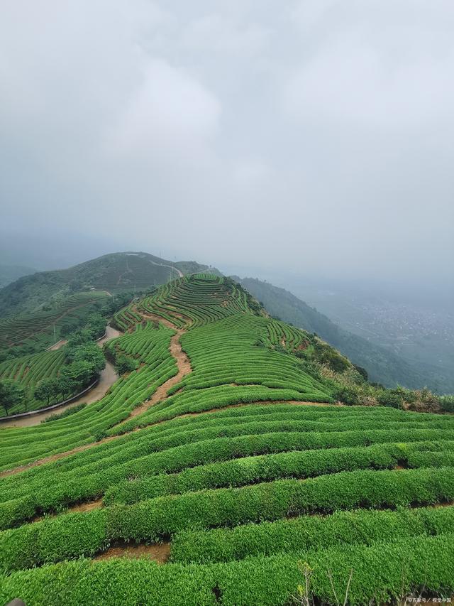 八闽大地(福建)必买十大特产,都有哪些呢?八闽之家告诉您,闽南美食风情不容错过!