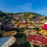 八闽山水间 与秋色撞个满怀