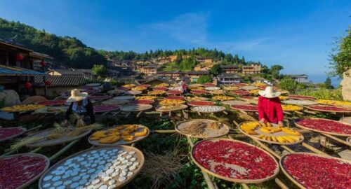 八闽山水间 与秋色撞个满怀