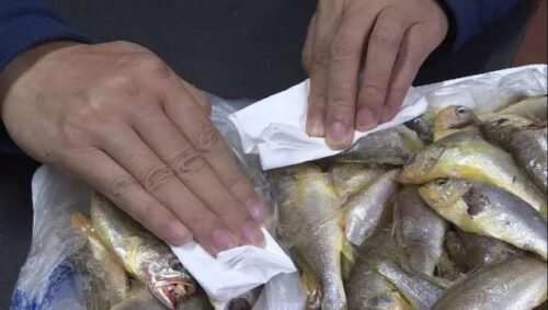 染色黄花鱼？如何分辨！