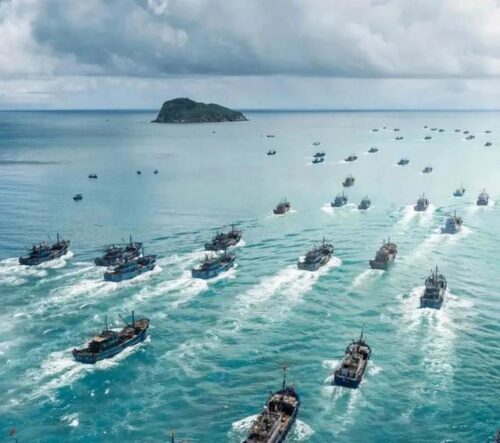 海中土豪金——野生大黄鱼的10个冷知识