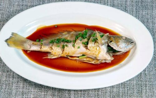 海中土豪金——野生大黄鱼的10个冷知识