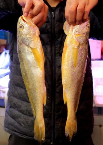 买黄花鱼：不是越大就越好，注意避开这2种，建议搞懂不花冤枉钱