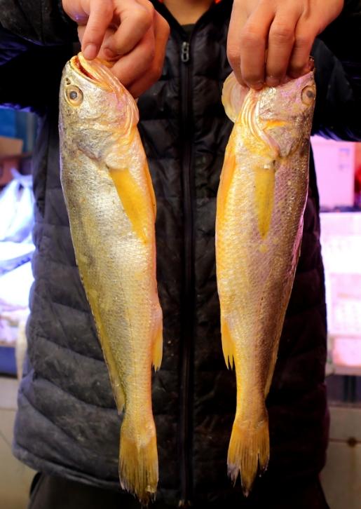 买黄花鱼：不是越大就越好，注意避开这2种，建议搞懂不花冤枉钱