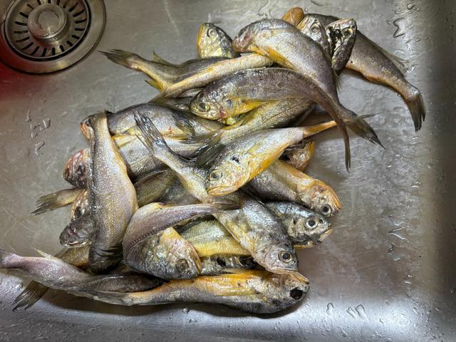 买黄花鱼:不是越大就越好,注意避开这2种,建议搞懂不花冤枉钱