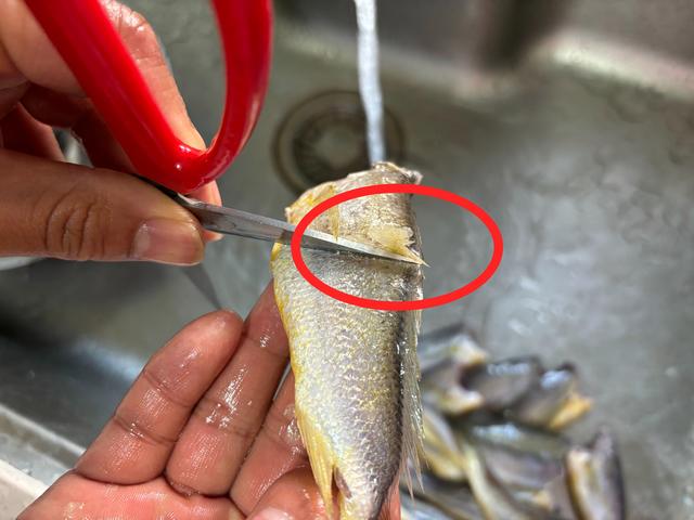 买黄花鱼:不是越大就越好,注意避开这2种,建议搞懂不花冤枉钱