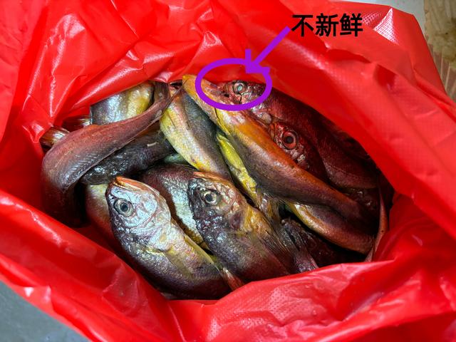 买黄花鱼:不是越大就越好,注意避开这2种,建议搞懂不花冤枉钱