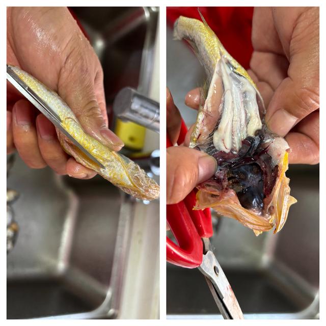 买黄花鱼:不是越大就越好,注意避开这2种,建议搞懂不花冤枉钱