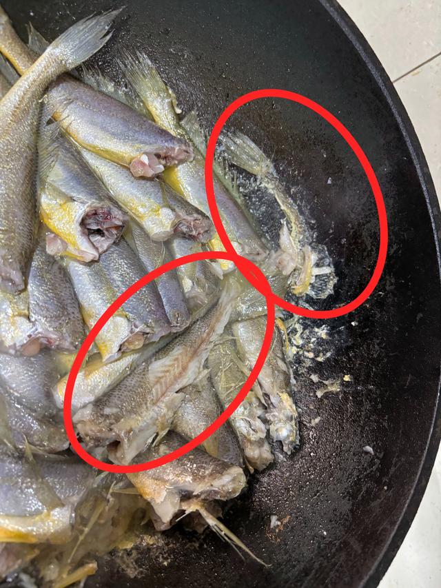 买黄花鱼:不是越大就越好,注意避开这2种,建议搞懂不花冤枉钱