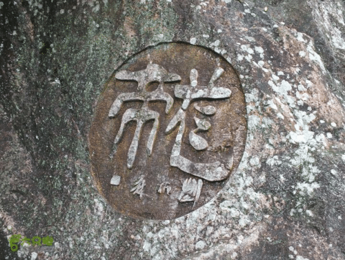 八闽霞浦这些神奇的“龙”藏不住了