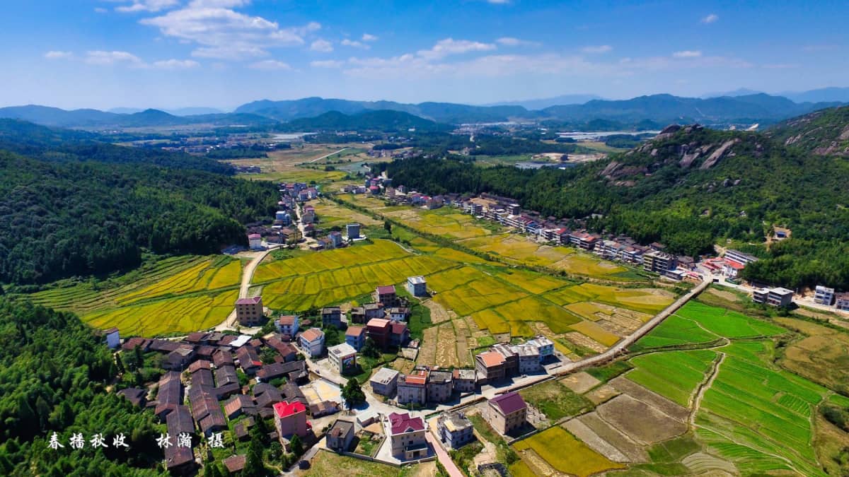 莆田市仙游县钟山镇朗桥村