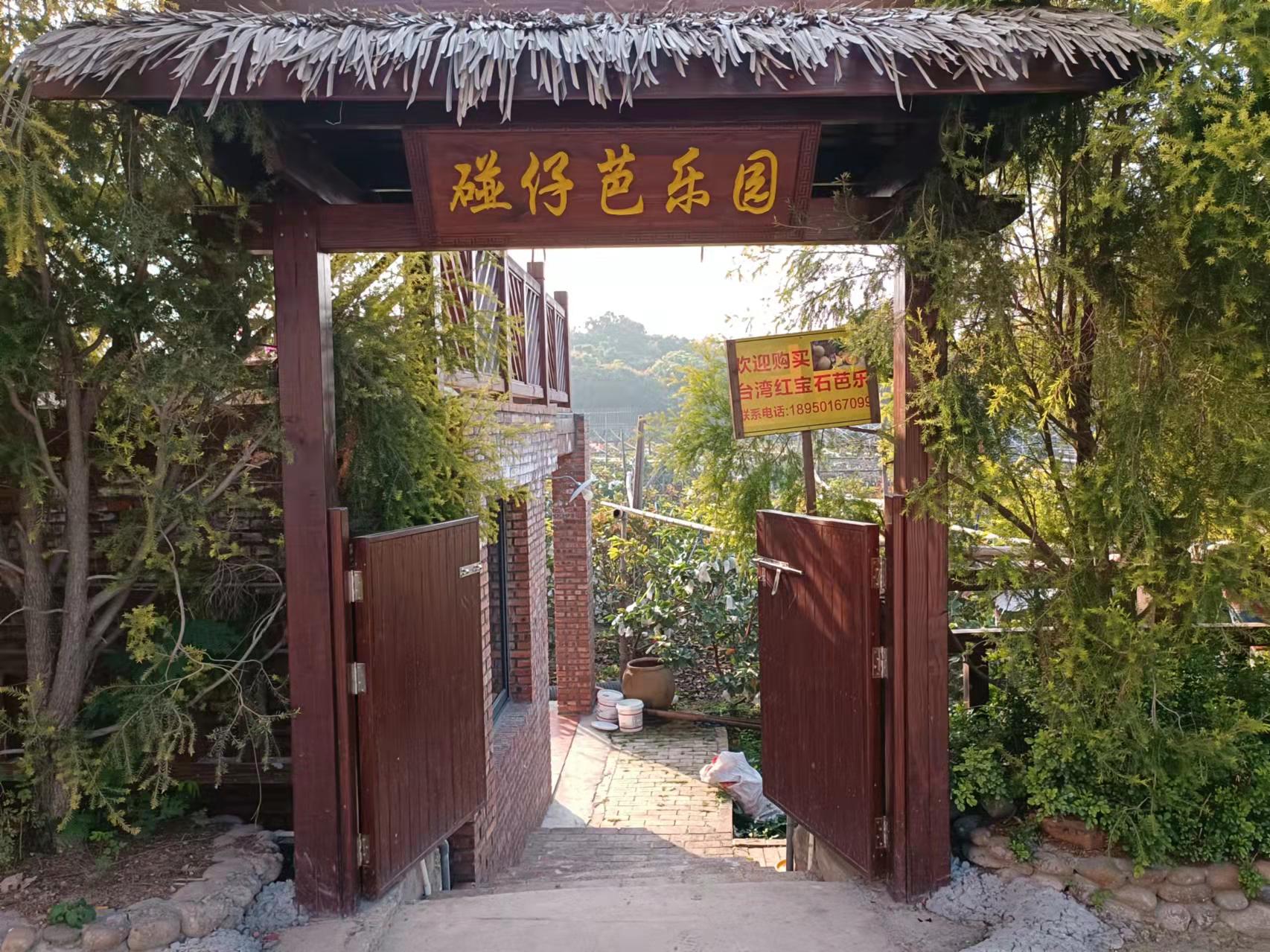厦门市海沧区海沧街道青礁村