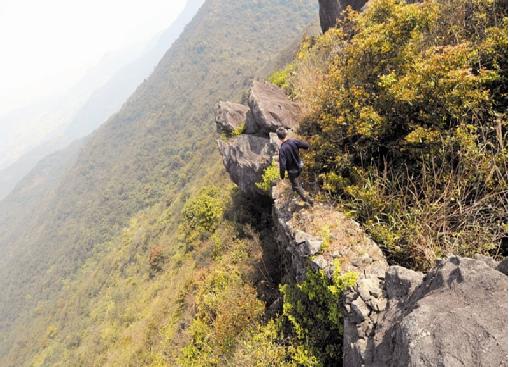 厦门市同安区汀溪镇顶村村