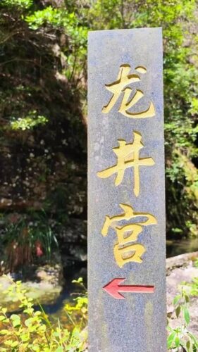 八闽霞浦这些神奇的“龙”藏不住了