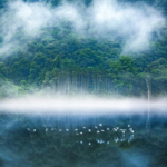 走，去福建“寻福”！