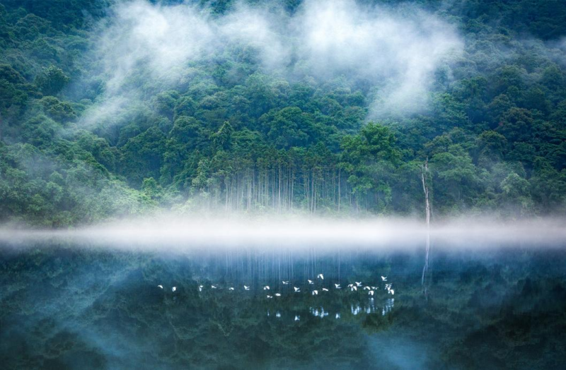 走，去福建“寻福”！