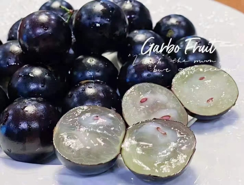 福州市长乐营前街道长安村