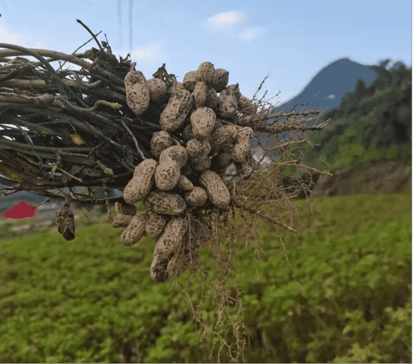 莆田市仙游县书峰乡兰石村