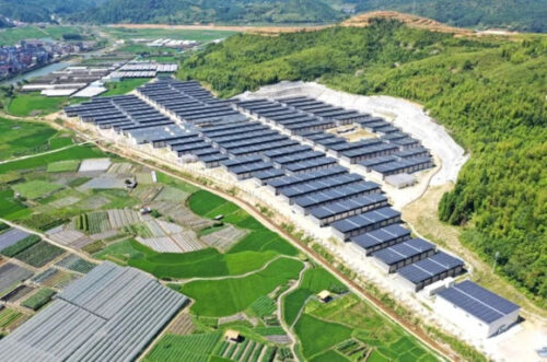 筑梦山海正高飞——记福建宁德特色乡村振兴之路